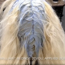 Brilliant Blonde Powder Bleach