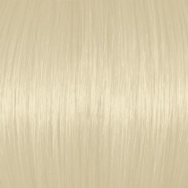 Lightest Blonde 10N