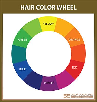 Hair Color Wheel & Color Wheel Toners Hair Color Wheel & Color Wheel Toners
