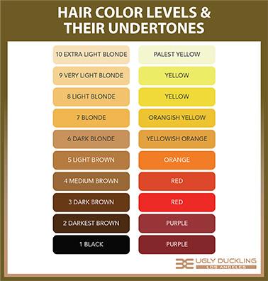 Toned Hair - No Yellow Toned Hair - No Yellow