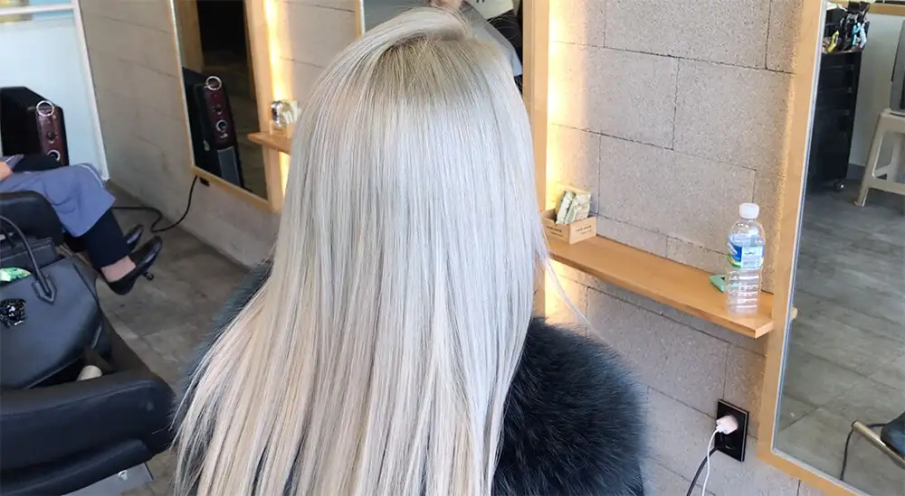 Bleach Application Bleach Application