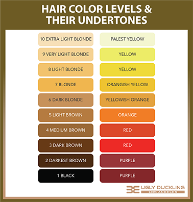 Hair Color Levels & Their Underlying Pigments Hair Color Levels & Their Underlying Pigments