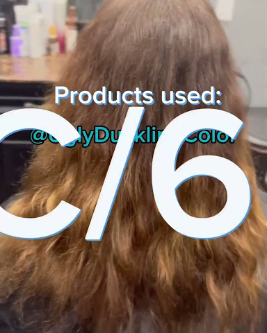 Split Hair Color Using 6C/6.4 and 8CG/8.43