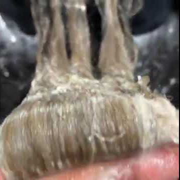 Balayage Hair Using 4N/4 On Base, 8.1B And 9.1B On Ends Balayage Hair Using 4N/4 On Base, 8.1B And 9.1B On Ends